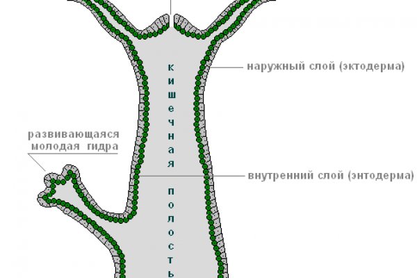 Модератор на кракене