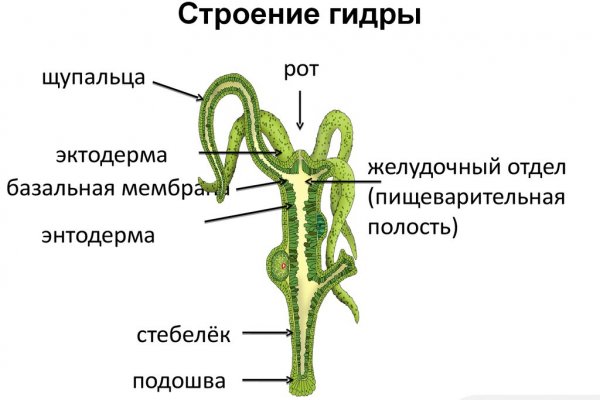 Официальный сайт кракен тор