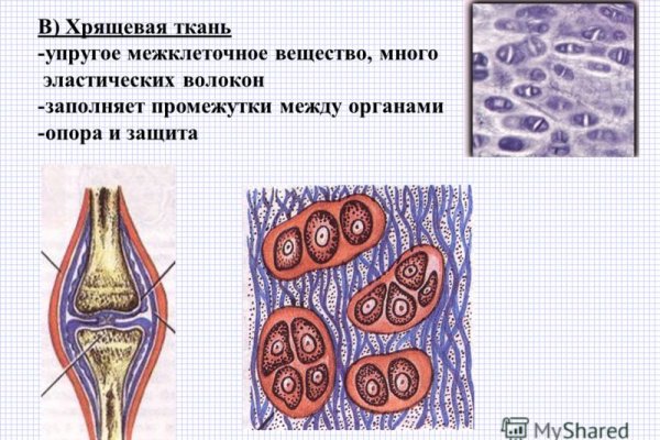 Как восстановить пароль на кракене