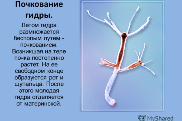 Kraken актуальные ссылки официальный сайт