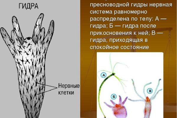 Кракен даркнет официальный сайт